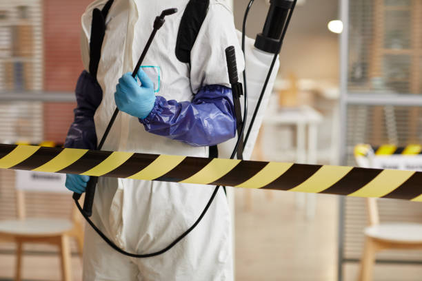 Professional Sewage Cleanup technician working in Wrightwood, CA